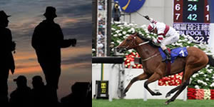 HK INSIDER'S BEST BETS